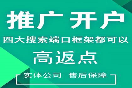 SEM代运营推广公司成功案例，助力企业实现多元化发展